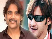 Nagarjuna-Mahesh Babu Nagarjuna-Mahesh Babu