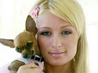 Paris Hilton Paris Hilton