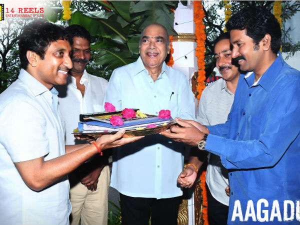 ఆగడు మూవీ ఓపెనింగ్-2