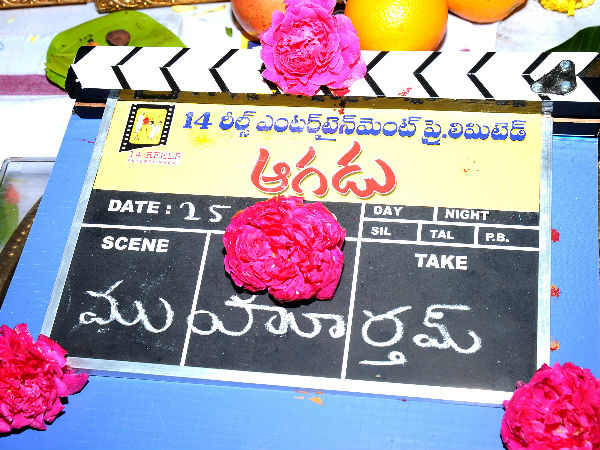 ఆగడు మూవీ ఓపెనింగ్-4