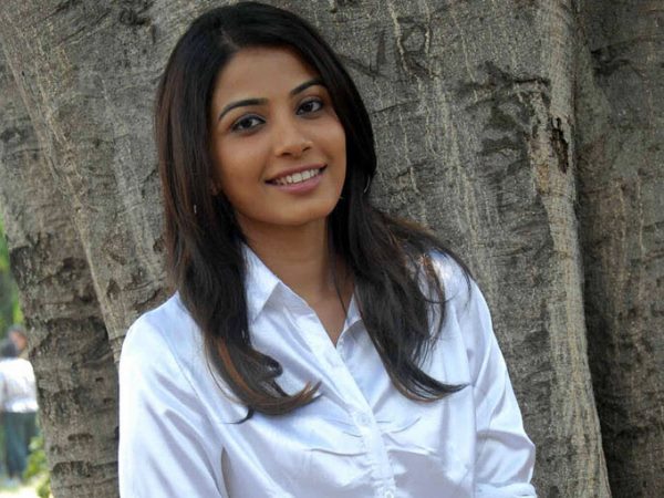 కావ్య శెట్టి