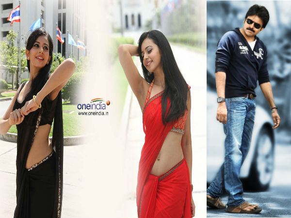 Pawan is Interested in Rakul Preet Singh Pawan is Interested in Rakul Preet Singh