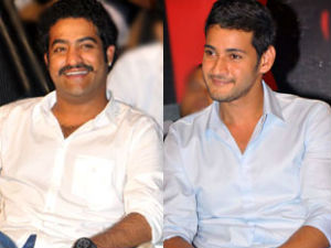 NTR-Mahesh in caravan wars NTR-Mahesh in caravan wars