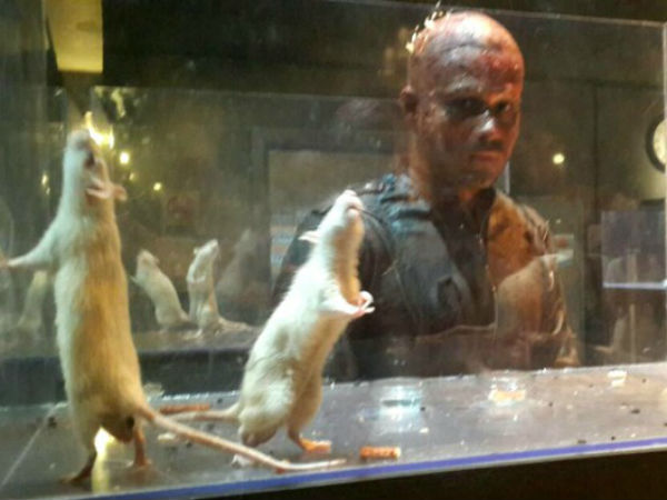 Emraan Hashmi's new look from Mr X Emraan Hashmi's new look from Mr X