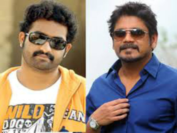 Nagarjuna about his film with NTR Nagarjuna about his film with NTR