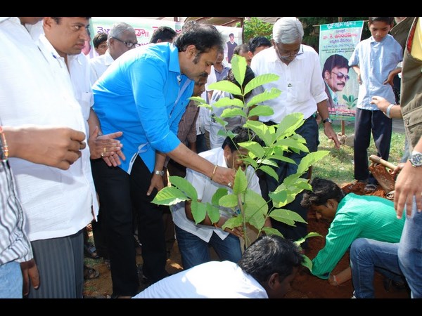 మొక్కలు నాటారు