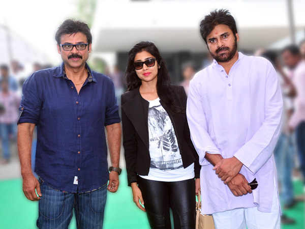 Gopala Gopala sets NEW RECORD Gopala Gopala sets NEW RECORD