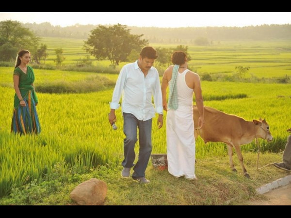 ఇండియాలో రిలీజ్