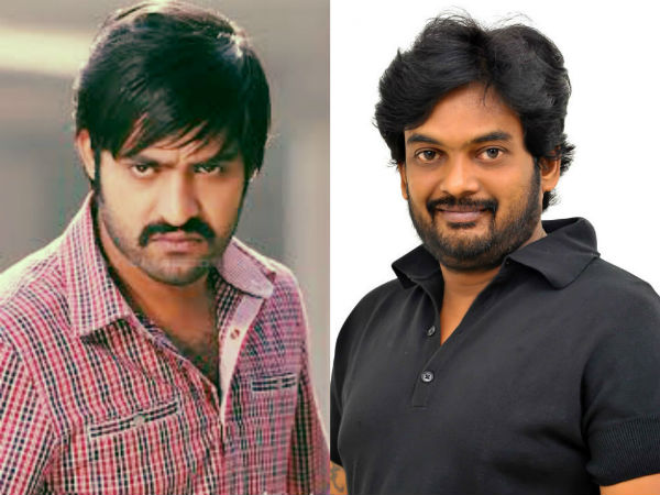 Costly Chases for NTR, Puri film Costly Chases for NTR, Puri film