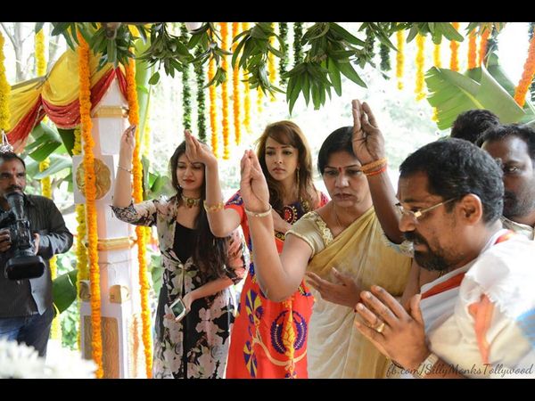 హైలెట్