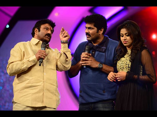 బాలకృష్ణ మాట్లాడుతూ...