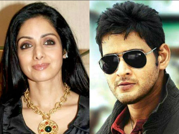 Sridevi in Mahesh Babu's film? Sridevi in Mahesh Babu's film?