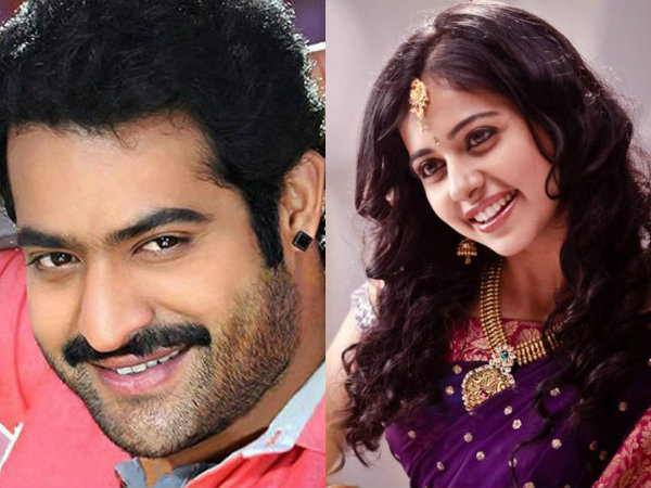 Rakul Preet Singh romance with NTR Rakul Preet Singh romance with NTR