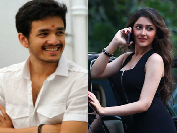 Sayeesha Saigal confirmed for Akhil movie Sayeesha Saigal confirmed for Akhil movie