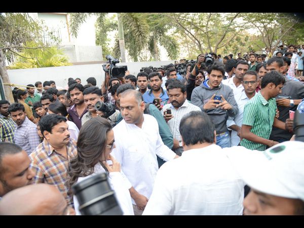 పివిపి
