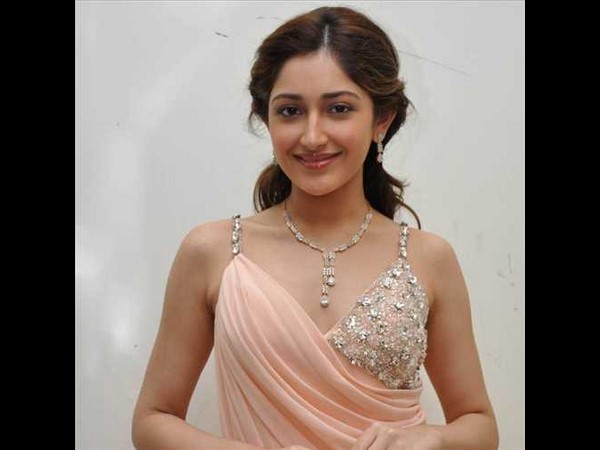 Sayesha Saigal enters in Mega Camp? Sayesha Saigal enters in Mega Camp?