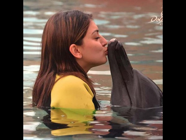 Hansika Kiss to Dolphin Hansika Kiss to Dolphin