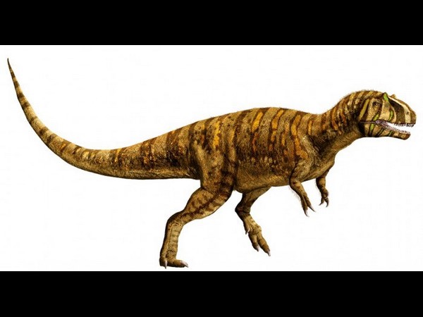Dimorphodon
