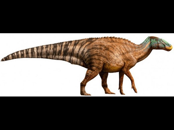 Suchomimus