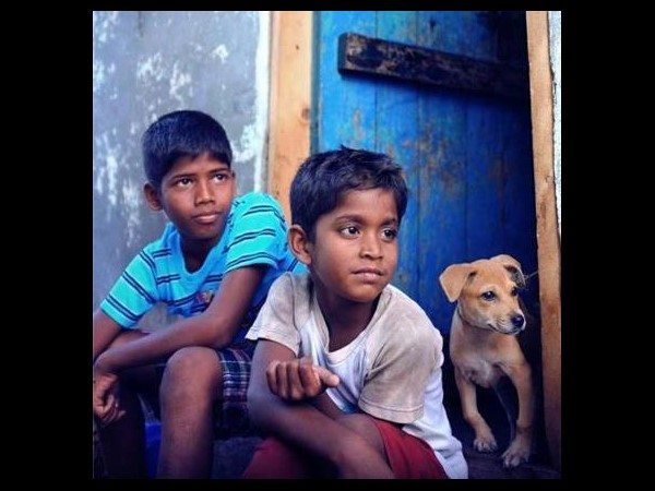 Lawers want ban on Kaaka Muttai Lawers want ban on Kaaka Muttai