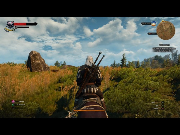 Video Game: The Witcher 3 has sold 4 million copies Video Game: The Witcher 3 has sold 4 million copies