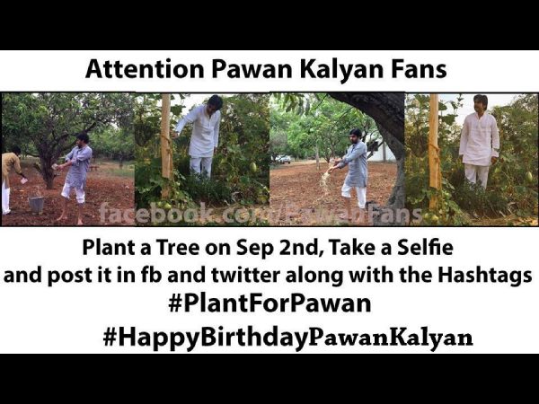 Renu Desai Doing It For Pawan Kalyan Renu Desai Doing It For Pawan Kalyan