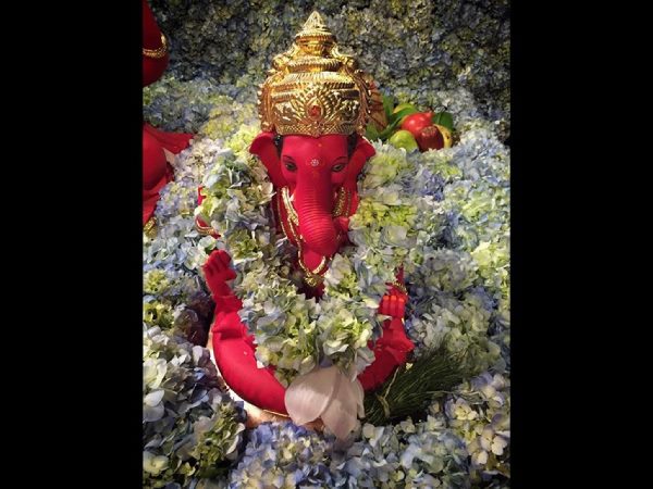 ఎకోఫ్రెండ్లీ..