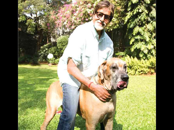 తన పెంపుడు కుక్కతో...