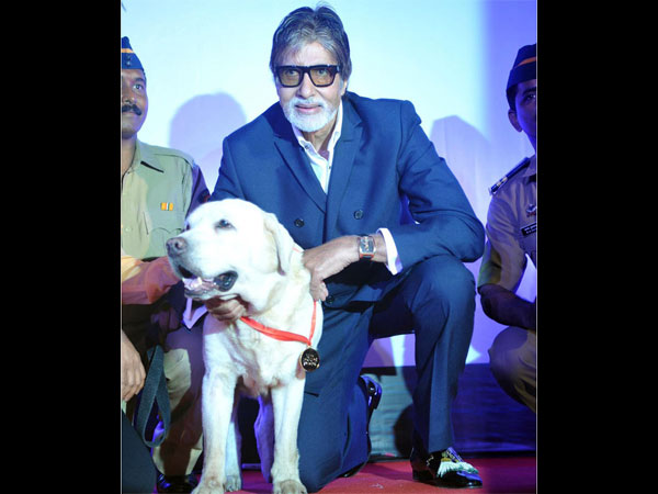 పెట్ షో