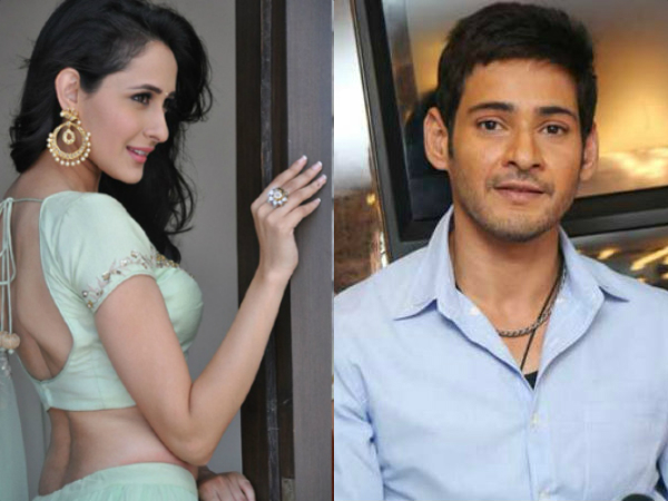 Pragya Jaiswal is going to romance with Mahesh Babu Pragya Jaiswal is going to romance with Mahesh Babu