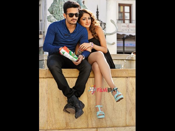 Akhil Openings: Rs 9 Cr share world wide Akhil Openings: Rs 9 Cr share world wide