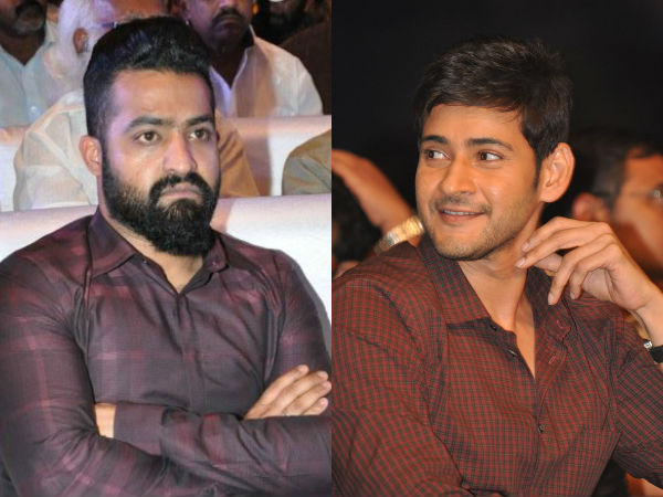 Mahesh Congratulates NTR on Phone Mahesh Congratulates NTR on Phone