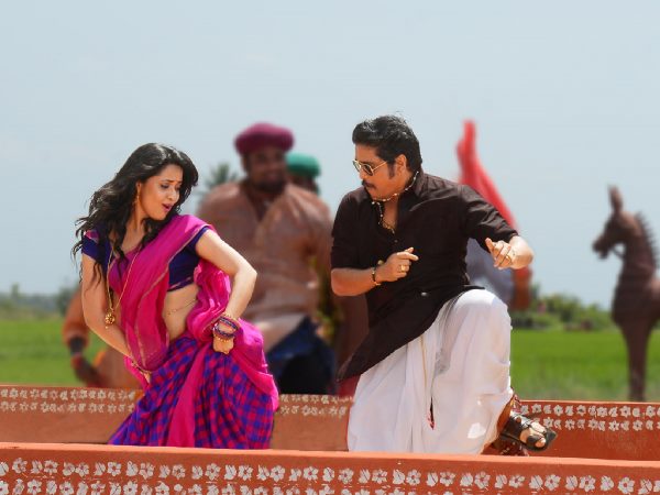 Gemini TV bags Nagarjuna's Soggade Chinni Nayana Gemini TV bags Nagarjuna's Soggade Chinni Nayana