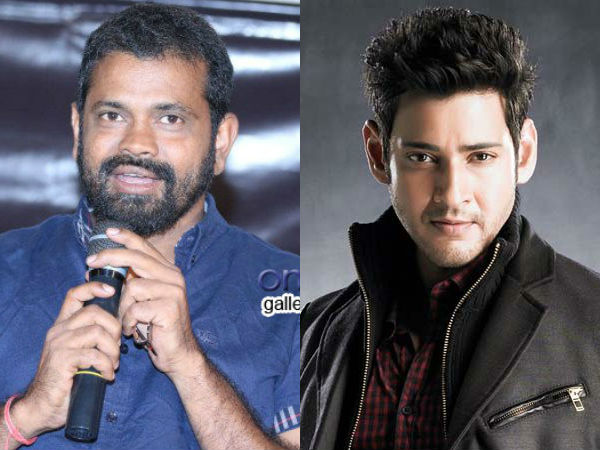 Sukumar about Mahesh Babu '1 Nenokkadine' movie Sukumar about Mahesh Babu '1 Nenokkadine' movie