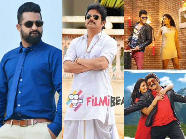 Sankranthi tollywood boxoffice report Sankranthi tollywood boxoffice report
