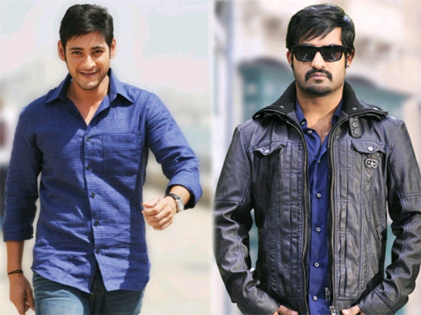 Mahesh and Ntr will be in Memu Saitham Mahesh and Ntr will be in Memu Saitham