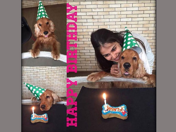 Genelia celebrates Birthday of Flash! Genelia celebrates Birthday of Flash!