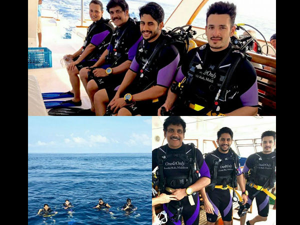 Nagarjuna and Akhil, Naga Chaitanya Caught in Maldives Nagarjuna and Akhil, Naga Chaitanya Caught in Maldives