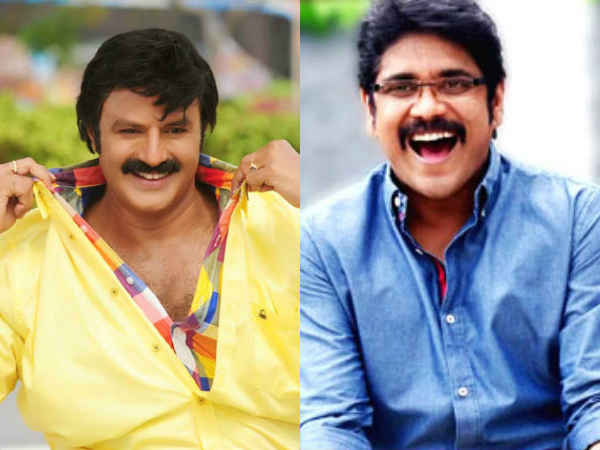 Reason behind Nagarjuna not attending Balakrishna's 100 film launch Reason behind Nagarjuna not attending Balakrishna's 100 film launch