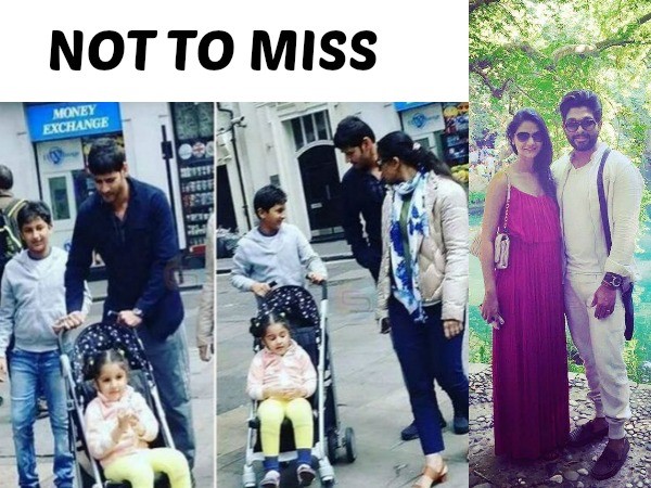సెలబ్రిటీస్