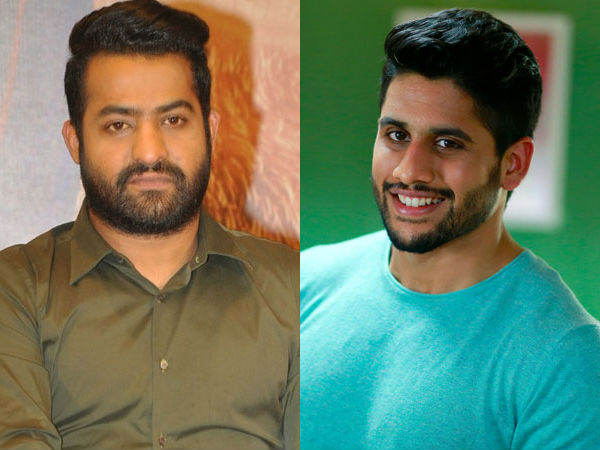 Clash between Jr NTR and Naga Chaitanya Clash between Jr NTR and Naga Chaitanya