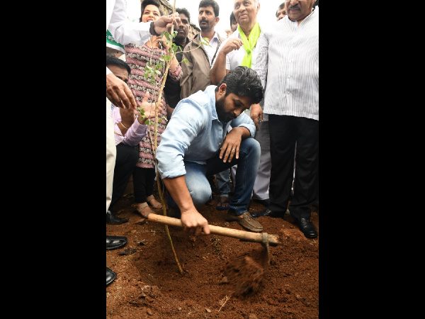 బన్నీ