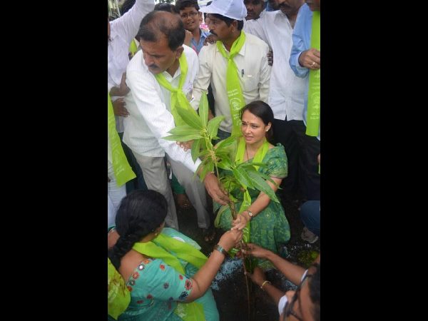 అమల