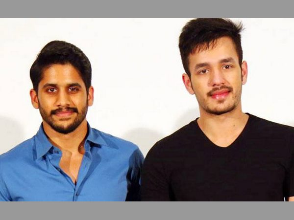 అఖిల్, నాగ చైతన్య