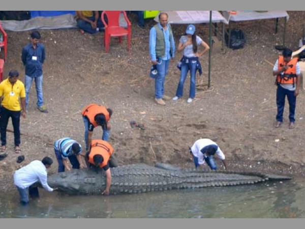 రెండు సార్లు గాయపడ్డాడు.:
