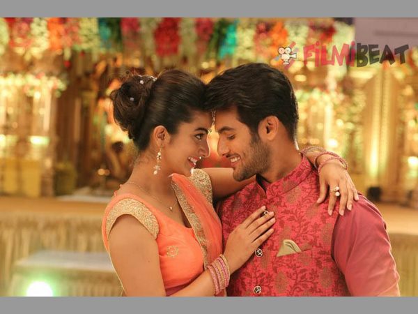 క్లైమాక్స్ నీరసం
