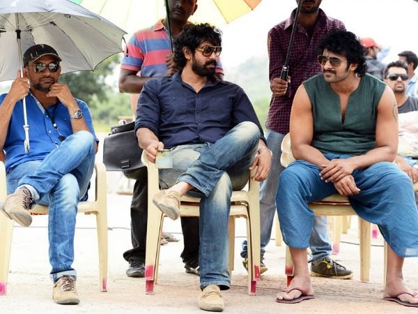 సత్తా చాటిన చిత్రం