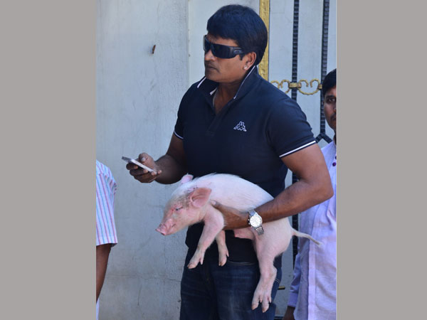 టైటిల్ తోనే