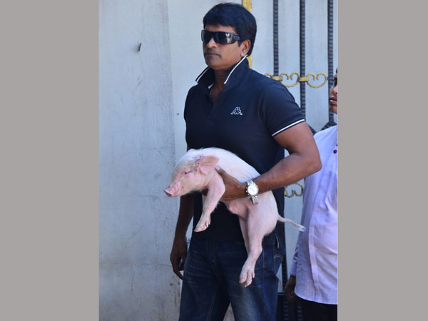 త్వరలోనే...