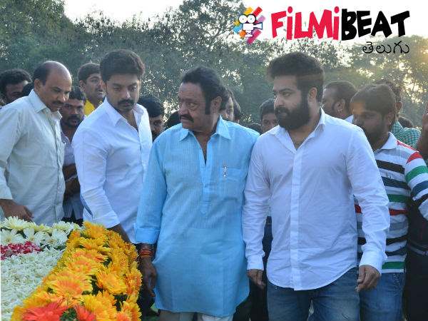 ఎన్టీఆర్ పత్యేకం